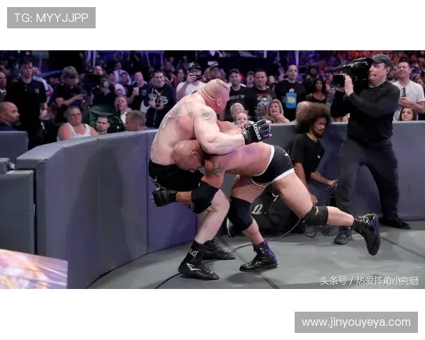 高博与莱斯纳2017年巅峰对决回顾与精彩瞬间分析